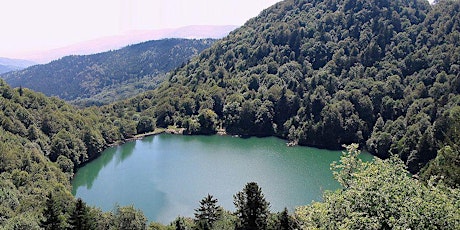 Image principale de Randonnée amicale "Circuit des Lacs des Vosges"