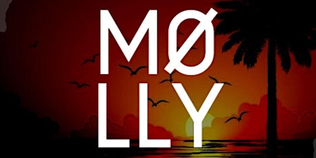 Molly MDQ