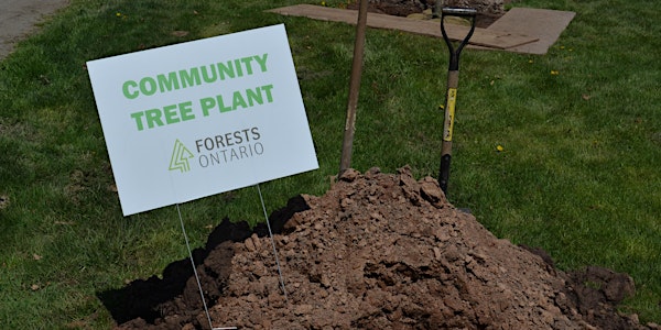 Pelham Community Tree Planting Event – Centennial Park