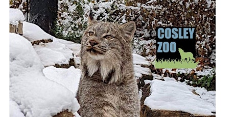 Cosley Zoo Admission -Sunday, January 29, 2023