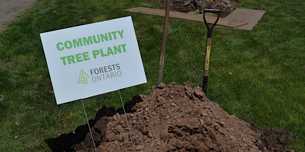 York Region Community Tree Planting Event