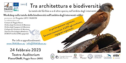 Tra architettura e biodiversità - La tutela del Grillaio  (2nd edition- MN)