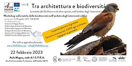 Tra architettura e biodiversità - La tutela del Grillaio