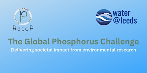 The Global Phosphorus Challenge:  Networking Event