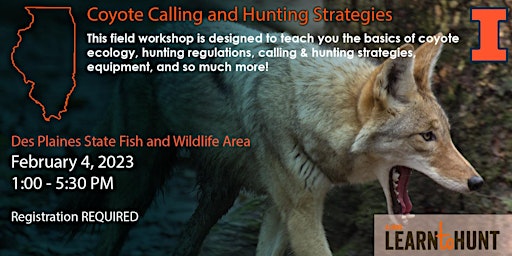 Coyote Calling and Hunting Strategies