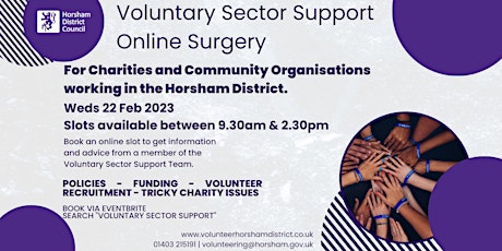 Voluntary Sector Support Online Surgery