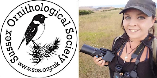 Birding on a budget - financial and carbon - Sara Humphrey