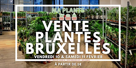 VENTE PLANTES BRUXELLES