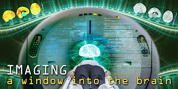 Imaging: A Window into the Brain