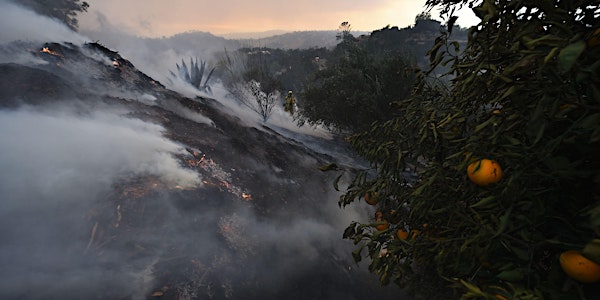 After The Fire: Regenerating California's Soil Sponge
