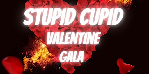 Stupid Cupid Valentine Gala/Dinner