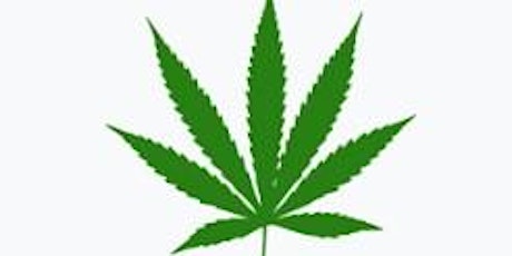 Cannabis Impairment and Drug Recognition