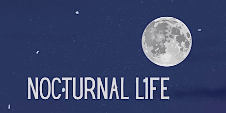 Nocturnal Life with the Austin Nature & Science Center