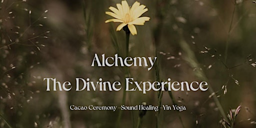 Alchemy – The Divine Experience (Cacao Ceremony -Sound Healing -Yin Yoga)