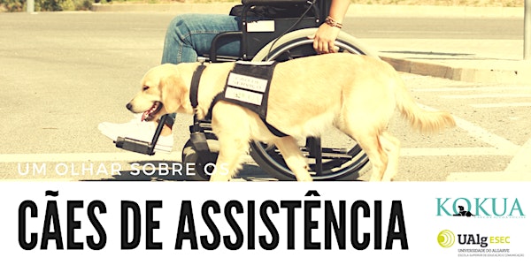 Um olhar sobre os Cães de Assistência