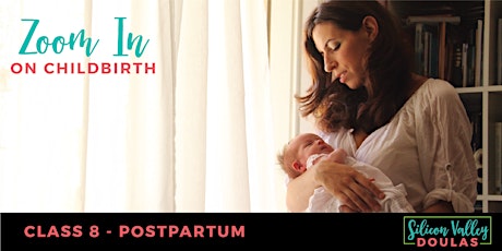Imagen principal de Zoom in on Childbirth - Class 8: Postpartum