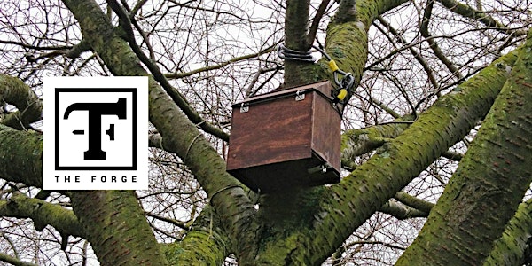 Group Build: tree boxes for the Edinburgh CitySounds project
