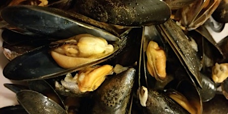 Mussels Experience - April primary image