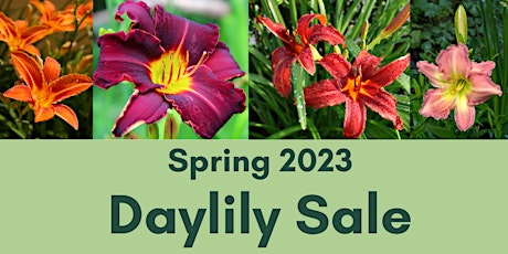 Spring Daylily Sale 2023