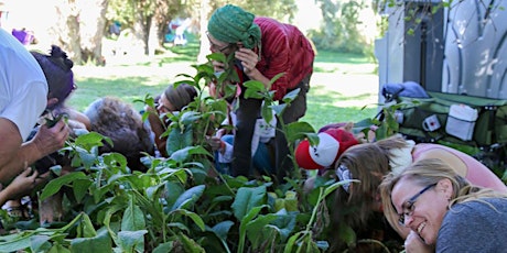 Cultivating Connection with Ourselves, Our Community and the Earth primary image