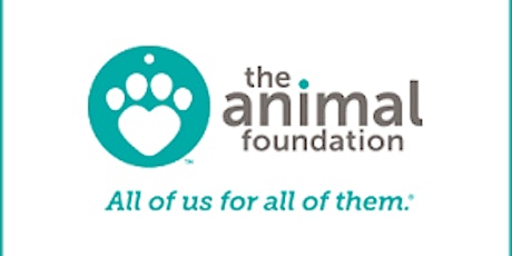 Volunteer Opportunity - The Animal Foundation