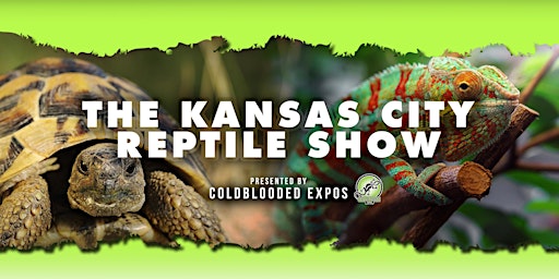 Kansas City Reptile Show