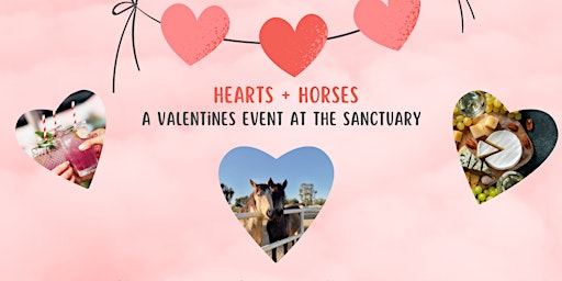 Hearts + Horses - A Valentines event at the sanctuary