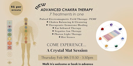 Advance Chakra PEMF Treatments