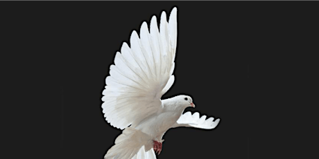 O for the wings of a dove! - The Ulster Consort