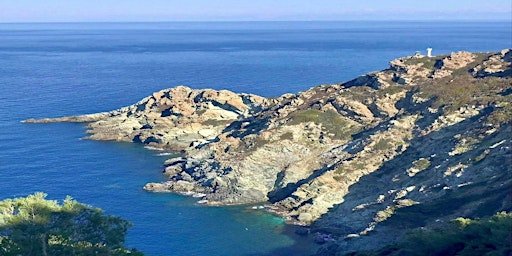 Immagine principale di Escursione all’isola di Gorgona 