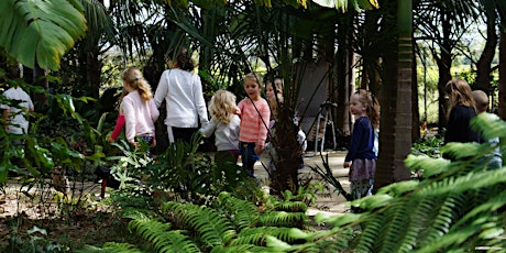 Fairy Nature Craft in the Jungle primary image