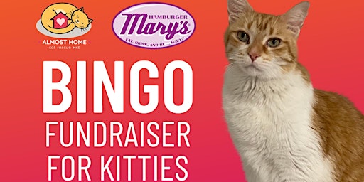 Hamburger Mary's Drag Bingo + Almost Home Cat Rescue Fundraiser