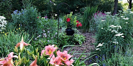 Hauptbild für Sundays in the Healing Gardens