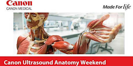 Canon Ultrasound Anatomy Weekend – Auckland NZ primary image