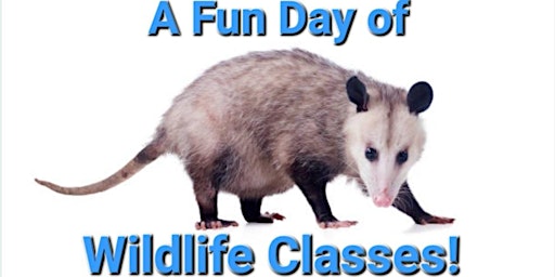 A Fun Day of Wildlife Classes