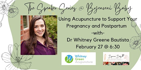 Supporting Your Pregnancy and Postpartum with Acupuncture, Dr Whitney Green