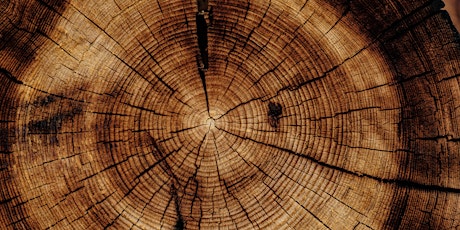 Insights into urban environments and beyond from tree-rings primary image