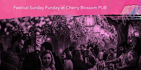 Festival Sunday Funday at Drink Company's Cherry Blossom PUB primary image