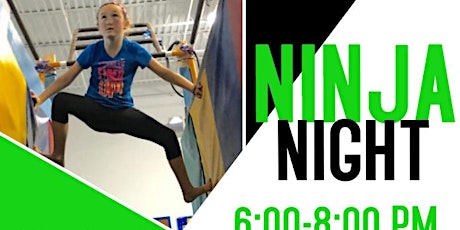 Ninja Night!  primary image