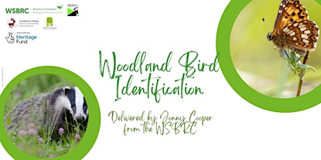 Woodland Bird Identification course