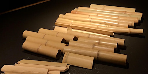 Bambus Workshop-022023