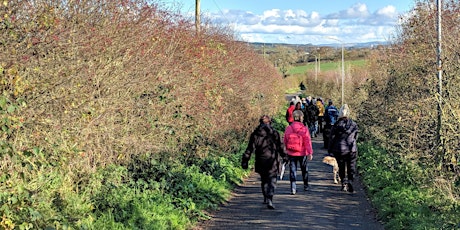 Valley Walkfest - Walk the Crooked Mile (Active Travel Hub led walk) primary image