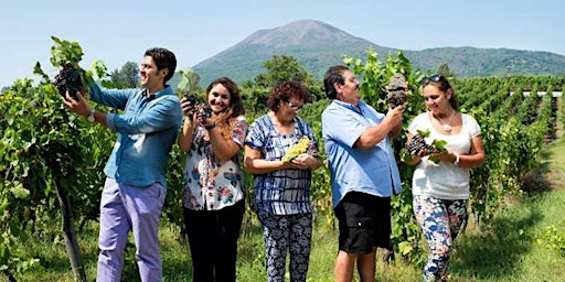 Immagine principale di Pompeii Wine Tasting Tour with Lunch and Transfer Included 
