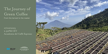 The Journey of Green Coffee - From the harvest to the roaster