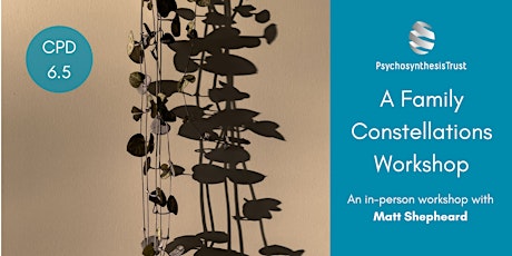 A Family Constellations Workshop (waitlist only)