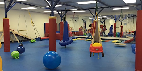 Epic Playdate at Kids Gym Berkeley with Stanford Children's Health primary image
