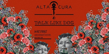 Alta Cura & Talk Like Dog Whelans Midnight hour