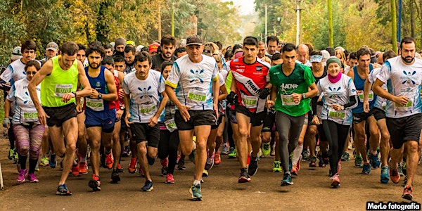 CARRERA de running" K-POLO" 2a edición