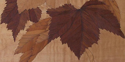 Fine Woodworking Series: Marquetry-Painting with Wood Veneers