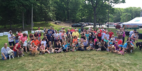 15th Annual Cumberland-Lincoln Rotary Pet Walk